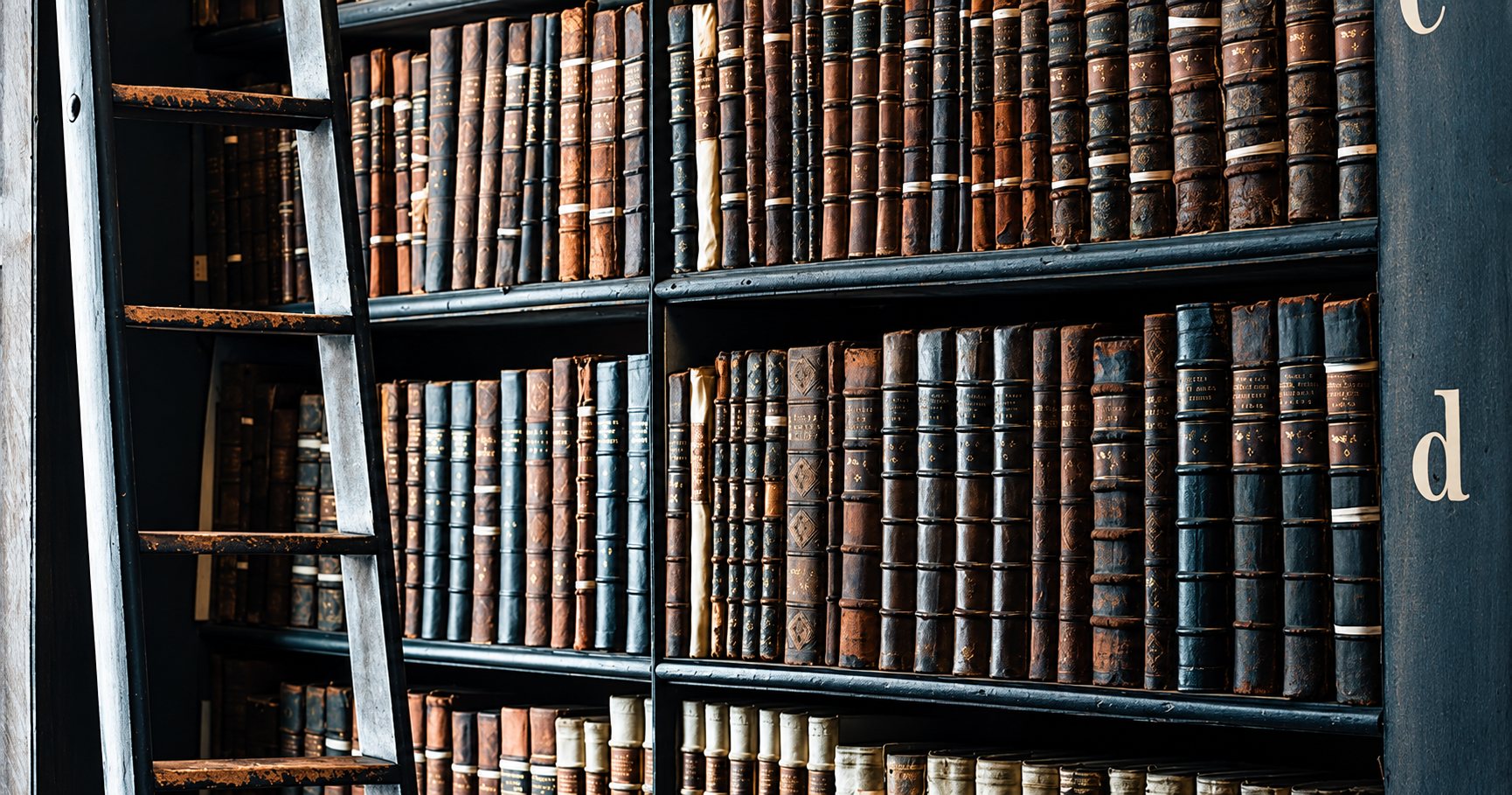 Des rayonnages en bois sombre garnis de livres anciens à reliure de cuir, avec une échelle de bibliothèque sur la gauche.